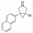 centanafadine