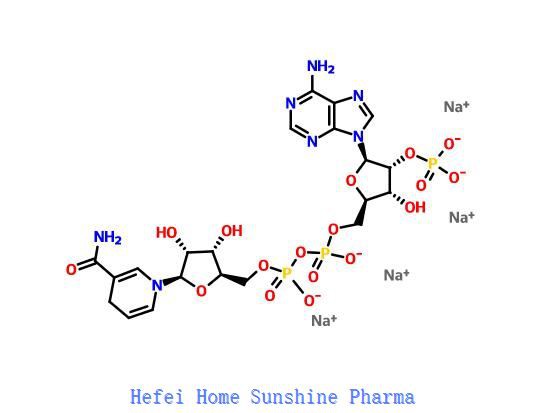 Beta-NADPH-Tetranatriumsalz NADPH CAS 2646-71-1