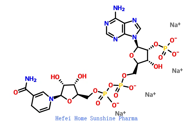 Beta-NADPH Tetranatriumsalz NADPH CAS 2646-71-1