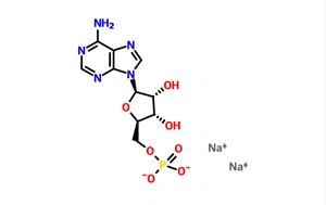 Adenosin-5'-monophosphat Dinatriumsalz (AMP-Na2) CAS 4578-31-8