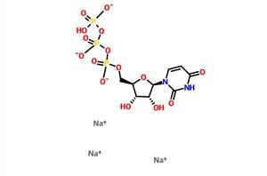 Uridine 5'-triphosphate Trisodium Salt UTP-Na3 CAS 19817-92-6