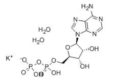 Adenosin-5'-diphosphat-Monokaliumsalz CAS 72696-48-1
